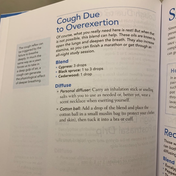 Aromatherapy With Essential Oil Diffusers For Everyday Health and Wellness. - Picture 5 of 6